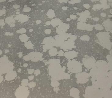 quartz Antique Mirror Sample Quartz